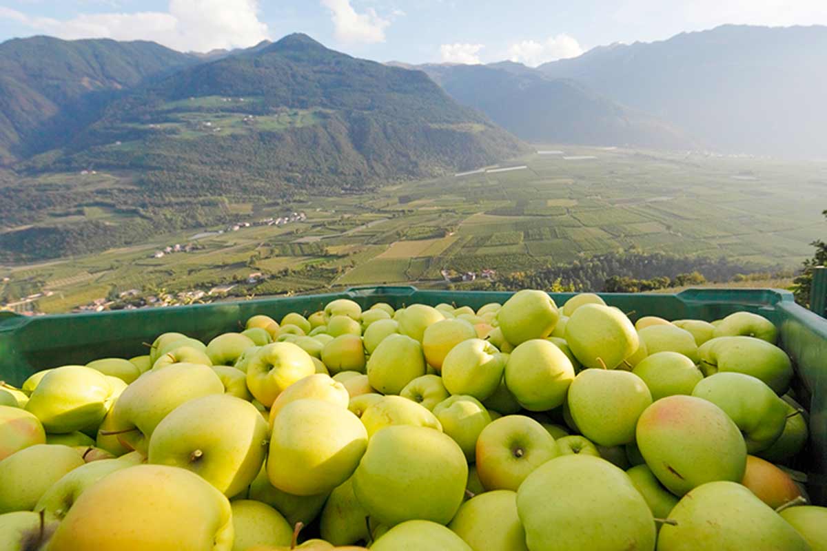 Paradiesgarten Vinschgau