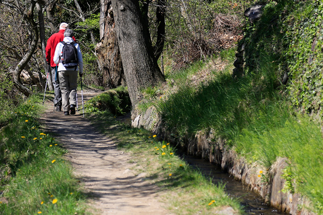 Escursione sul sentiero della roggia in Val Venosta