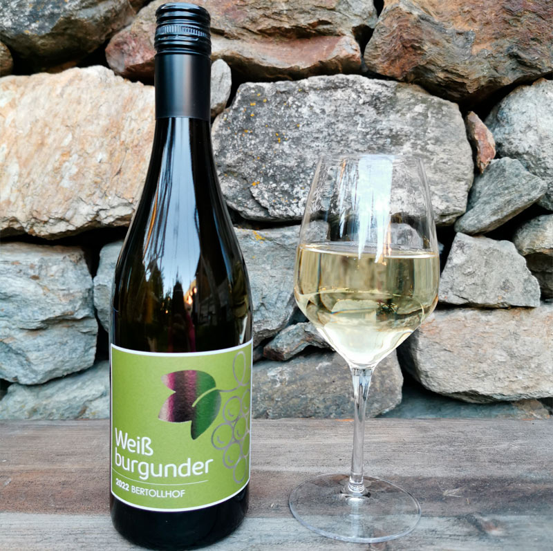 Pinot Bianco - maso Bertollhof