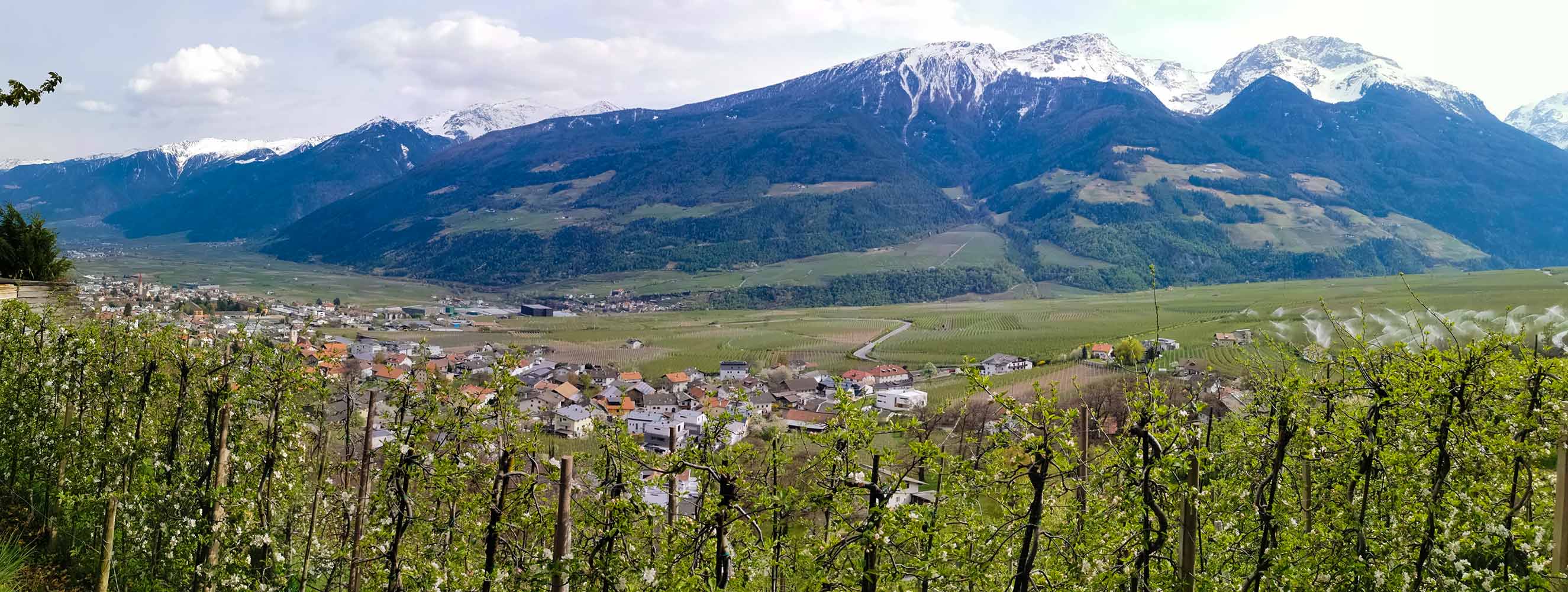 Kortsch im Vinschgau