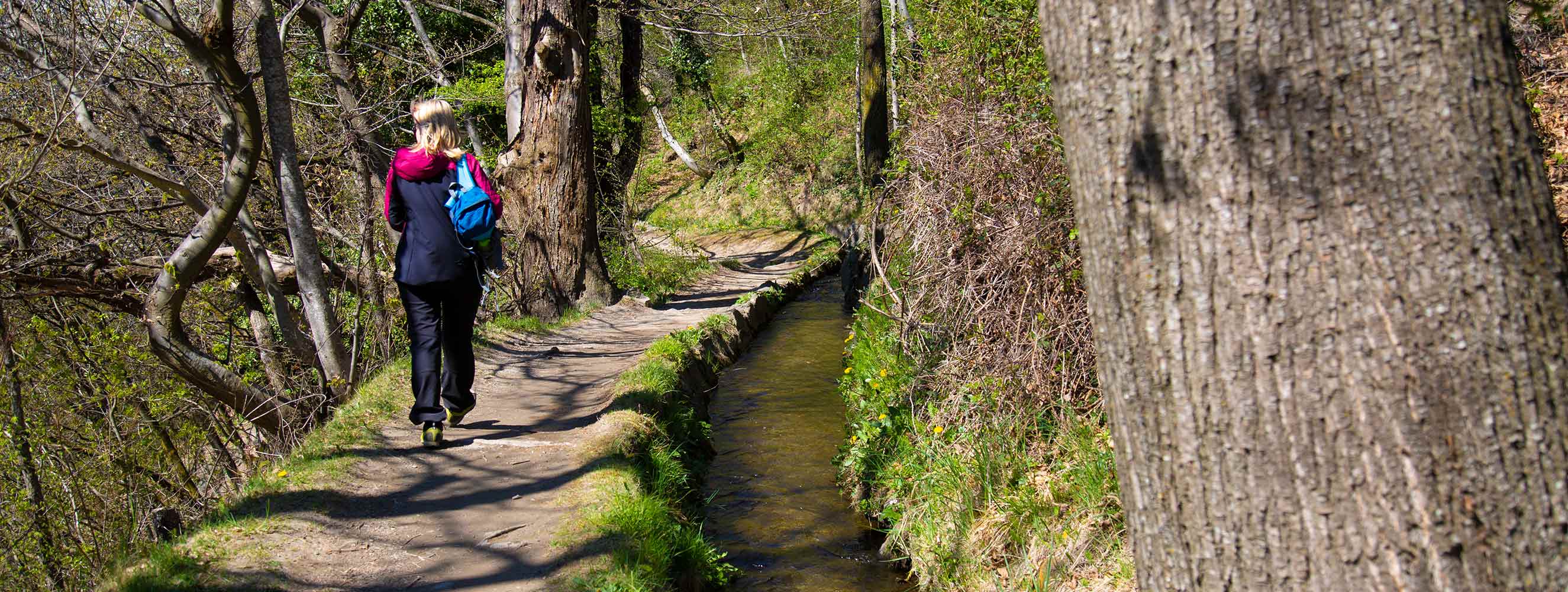 Wanderparadies Vinschgau