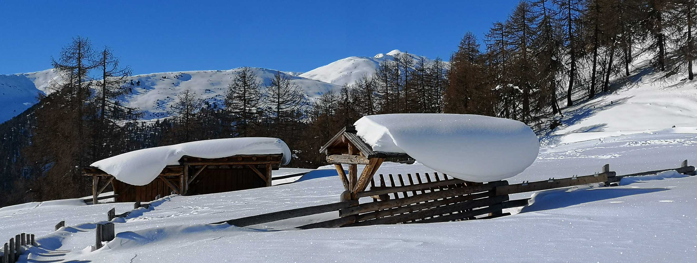 Sport invernali in un paesaggio da sogno