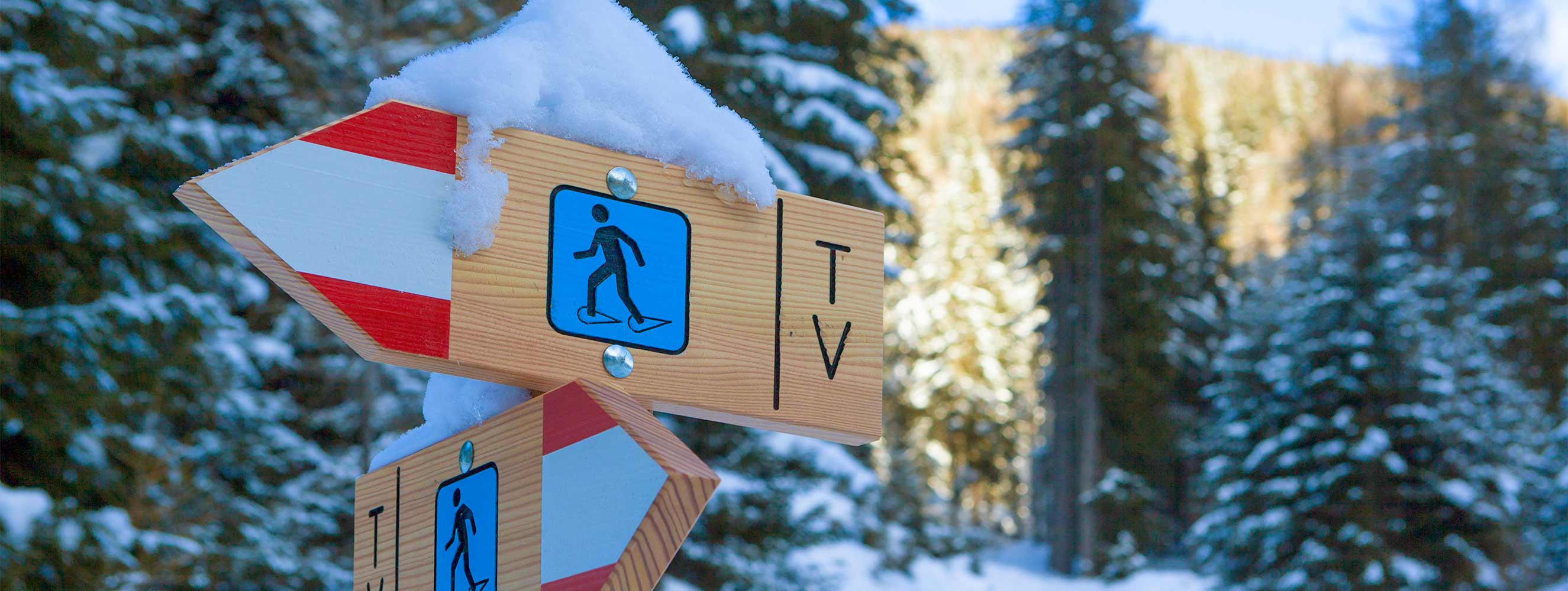 Sport invernali in un paesaggio da sogno